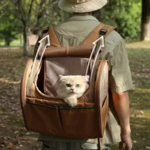 Outdoor Cat Bag Backpack Breathable Portable Pet Carrying Bag Expandable Large Space Cats Carrier Transport Pet Products