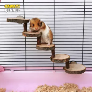 3/5 Steps Random Color Hamster Wooden Ladder for Small Animals Climbing Ladder Toys Pet Bird Parrot Stand Perches Stair Pet Cage